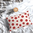 thumbnail image 5 of Goofa Abstract Red Polka Dot Print Plush Throw Pillow Case, Soft Velvet with Hidden Zipper, Decorative Cushion Cover for Sofa, Bed, Car, and Home Décor-14"x20", 5 of 6