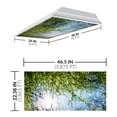 thumbnail image 2 of Octo Lights - Fluorescent Light Covers - 2x4 Flexible Ceiling Light Filters - For Classrooms and Offices - Tree 006, 2 of 7