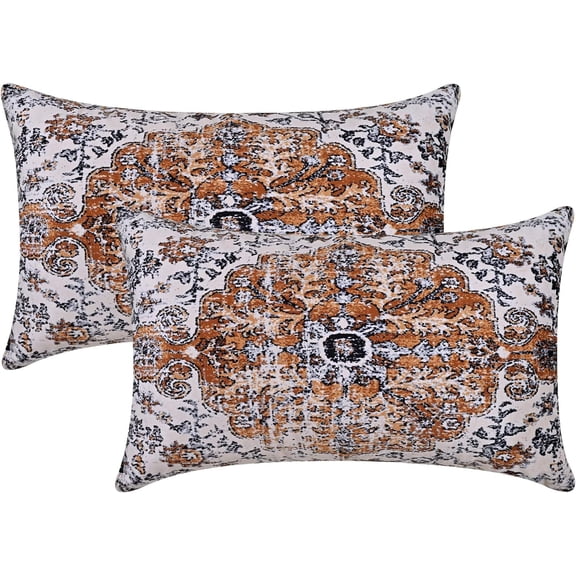 Brown Blue Pillow Covers 12x20 Inch Set of 2, Boho Throw Pillow Covers Velvet Carpet Pattern Decorative Lumbar Pillowcase Ethnic Design Farmhouse Cushion Case for Sofa Couch Outdoor Decor