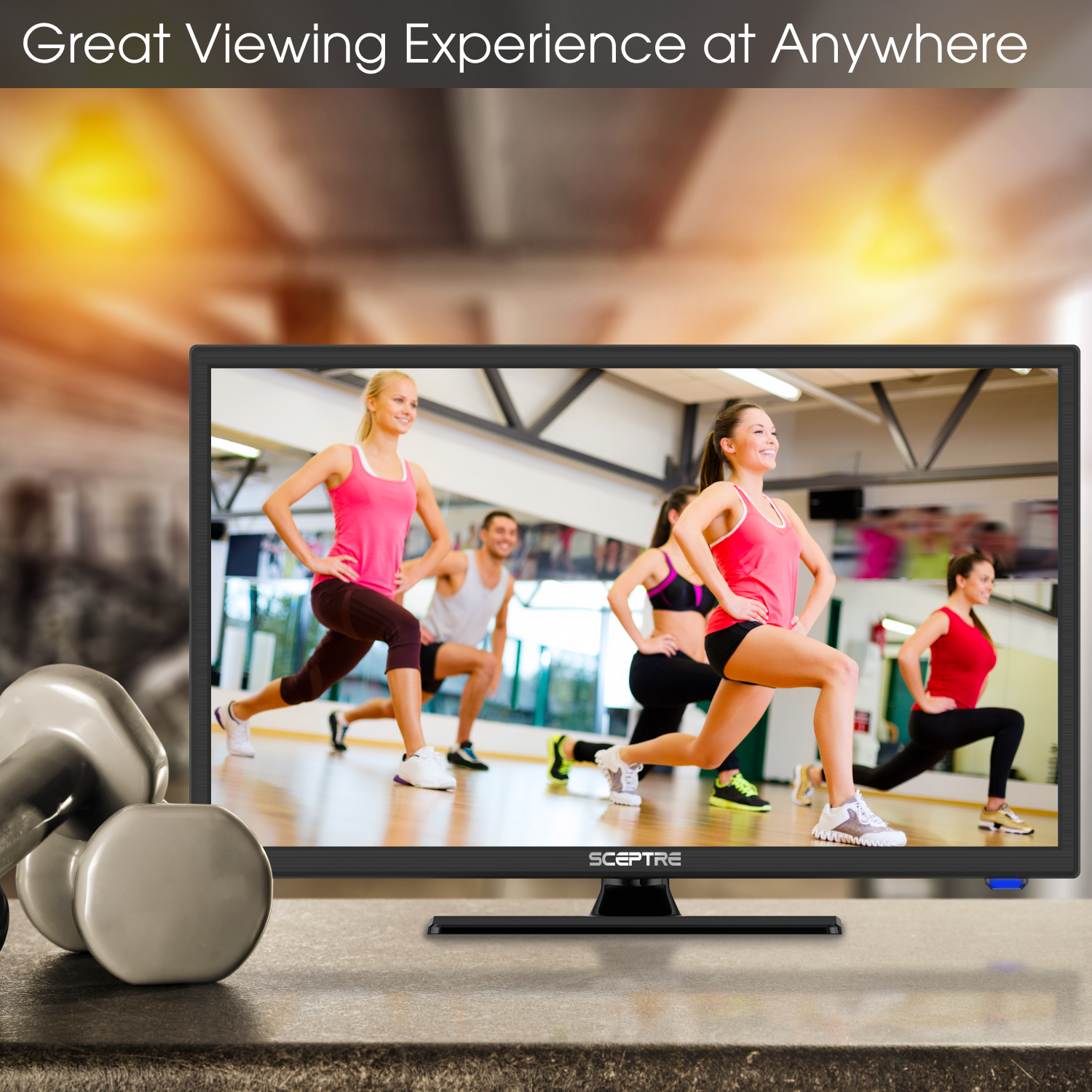 Sceptre 24" Class 1080P FHD LED TV E246BV-F