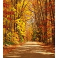 thumbnail image 3 of Ambesonne Fall Duvet Cover Sets, Scenic Outdoors Empty Road, 2-Queen, Redwood Yellow Orange, 3 of 7