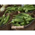 thumbnail image 5 of HJADGG 30 Lady Finger, Okra Seeds for Planting-Non-GMO, Heirloom, High-Yield Vegetable Seeds for Gardens & Climate, 5 of 5