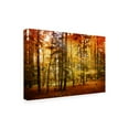 thumbnail image 3 of Trademark Fine Art Philippe Sainte-Laudy Brilliant Fall Color Canvas Wall Art - 16x24, 3 of 5