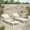 White, variant on Outdoor Sofa, CAPE CORAL KD CHAISE LOUNGE WHI(MP2)( SET OF 2 ), White Patio Furniture,Mesh Outdoor Sectional, Garden & Outdoor & Patio Furniture Patio Seating