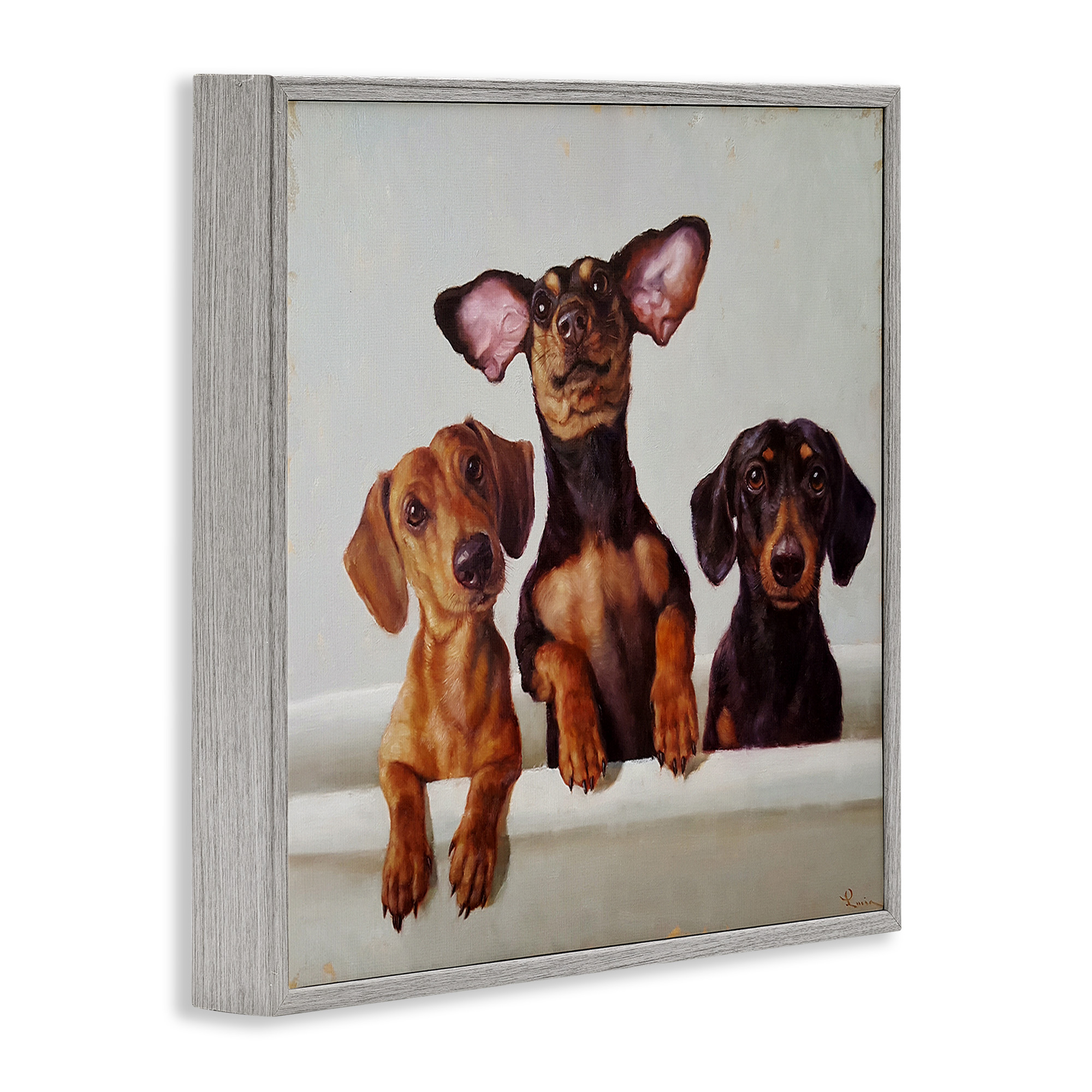 Stupell Industries Dachshunds in Bathtub Animals & Insects Painting Gray Framed Art Print Wall Art, 24 x 24
