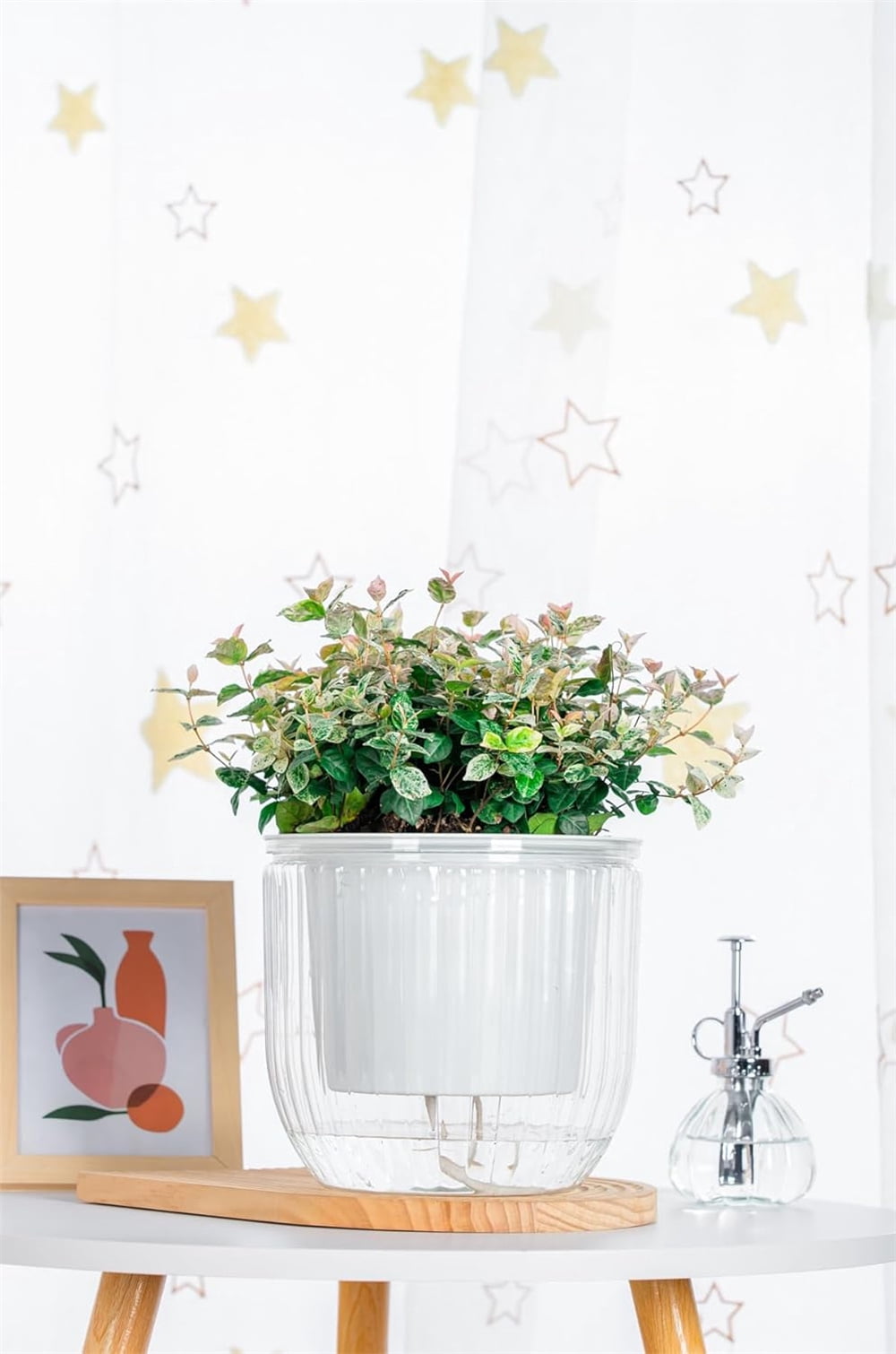 Clear Hanging Planter with Drainage Hole,Set of 3 Plastic Flower Pots,Double Layer Planter Design,Visible Hanging Baskets,for Flower, Succulent, Green Plant