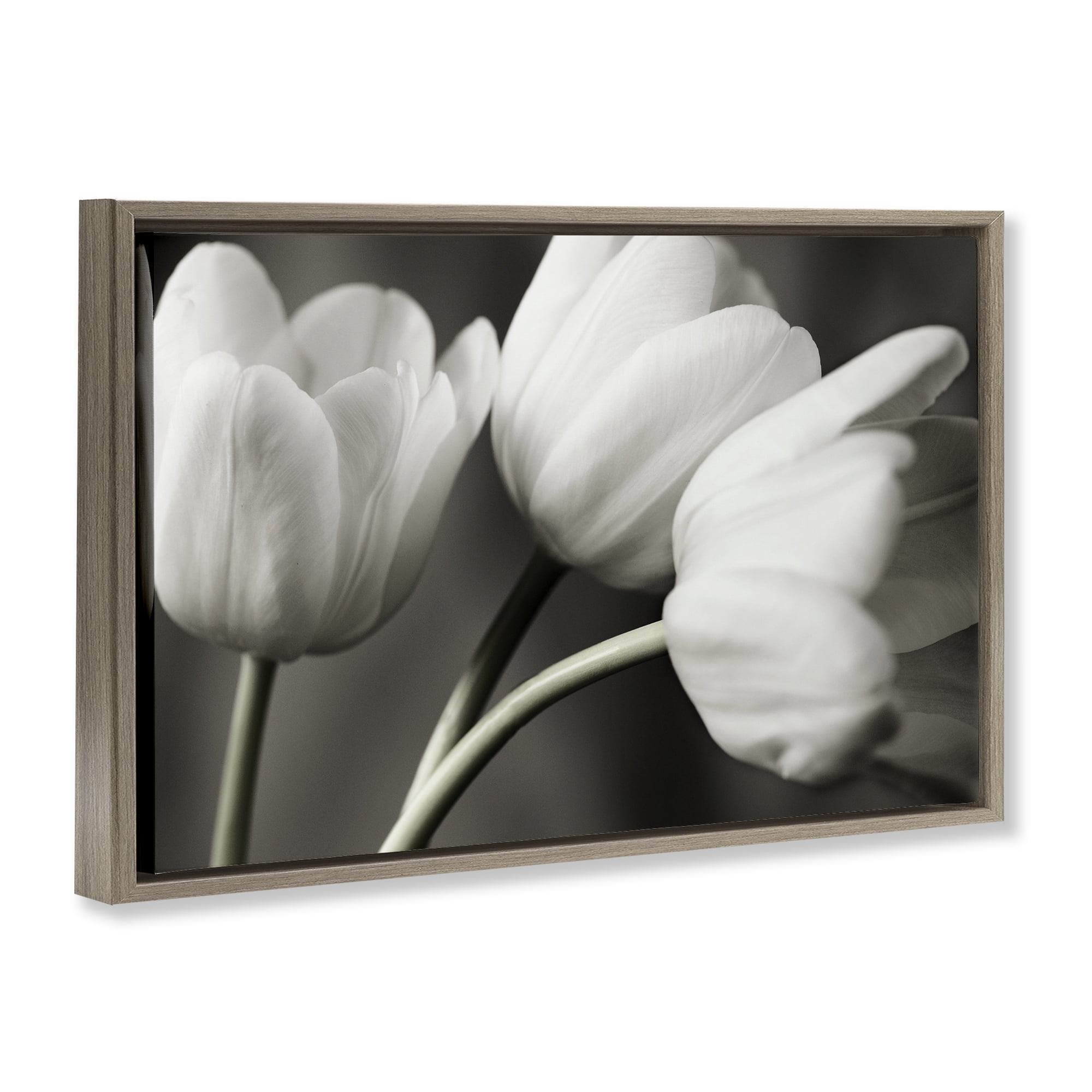 Stupell Industries Row Of Monochrome Tulips Brown Framed Floater Canvas Wall Art, design by Tom Quartermaine