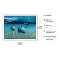 thumbnail image 2 of The Chase - Hawaiian Spinner Dolphins (Naiʻa) - From an Original Color Painting by Mark Mackay - Fine Art Matte Paper Print (Unframed) 24x32in, 2 of 4