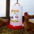 thumbnail image 5 of Farm Innovators Heated 3 Gal Hanging Poultry Water Fountain, Red (8 Pack), 5 of 9
