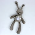 thumbnail image 4 of Juguete De Peluche DARA BABY Conejo Para Bebe Niño Felpa Extra Suave Jug0036, 4 of 4