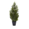thumbnail image 1 of Nearly Natural 2" Mini Cedar Pine Tree (Indoor/Outdoor), 1 of 2
