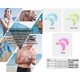 thumbnail image 5 of 2 pares de guantes de natación de silicona tipo rana con dedos palmeados entrenamiento acuático resistencia al agua fitness paleta aeróbicos para hombres mujeres niños, 5 of 5