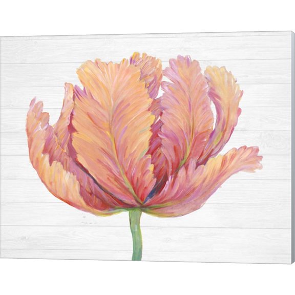 Great Art Now Single Pink Bloom I by Timothy O'Toole, Canvas Wall Art, 20W x 16H