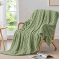 thumbnail image 5 of Sortora Green Throw Blanket, Throw Size Plush Fluffy Couch Blanket, Soft Lightweight Cozy Bed Blankets for All Seasons - 280GSM Double-Sided 3D Knit, Machine Washable, 50"x60", 5 of 7