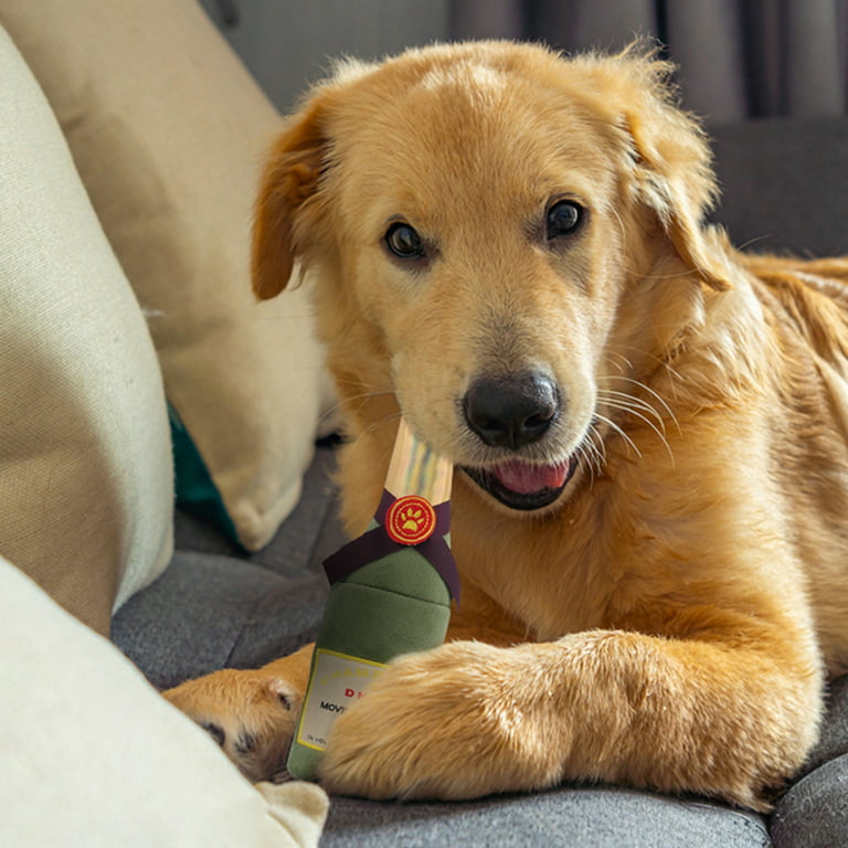 Pet Dog Squeaky Plush Dinosaur Toys Interactive Dog Chew Toys Plush Stuffing  Pet Supplies Small Dog Chew Molar Toys