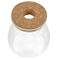 thumbnail image 4 of Shisuyan Terrarium Jar Glass Terrarium Hydroponic Plant Container Ecosystem Container Size M, 4 of 8