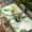 Green, variant on St. Patrick's Day Table Cloths for 3 Foot Rectangle Tables, Green Shamrock Hat Ladybirds Daisy Rainbow Patio Waterproof Elastic Fitted Tablecloths, Washable Rectangular Table Cover for Camping