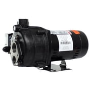 WAYNE CWS75 3/4 HP Convertible Jet Well Pump