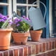 thumbnail image 5 of Regadera con asas, cabezal rociador, herramientas de jardinería desmontables para interior, granja, hogar, jardín al aire libre , Azul, 5 of 8
