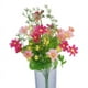 thumbnail image 1 of Ramo de flores artificiales de cineraria para decoración del hogar, la oficina y fiestas (rosa y rosa), 1 of 5