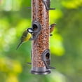 thumbnail image 4 of Urban Deco 2 Pack Metal Bird Feeder Tube Hanging Wild Bird Seed Feeder,Steel Hanger Great for Attracting Birds (Gray), 4 of 7
