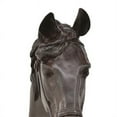 thumbnail image 2 of Lilie 14 Inch Horse Head Bust Statuette - Wall Mount Design - Resin - Brown, 2 of 5