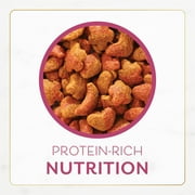 Purina Fancy Feast Dry Cat Food Filet Mignon Flavor With Seafood and Shrimp, 7 lb Bag