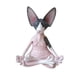 thumbnail image 5 of Adornos de resina para meditación de gato sin pelo, adornos para el hogar con diseño de Buda para meditación, decoraciones creativas, 5 of 5