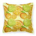 thumbnail image 1 of "Treasures BB7517PW1818 Watercolor Limes and Oranges Citrus Outdoor Canvas Pillow, Multicolor" Caroline's Treasures BB7517PW1818, 1 of 1