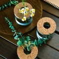 thumbnail image 3 of Hydroponic Plant Glass Pot Creative Hydroponic Plant Pots for Living Room Office Study Decor, 3 of 7
