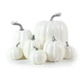 thumbnail image 2 of 7pcs Artificial Assorted Pumpkins Mini Fake Pumpkins Artificial Vegetables for Halloween Harvest Thanksgiving Party Decorations (7pcs style-C), 2 of 7