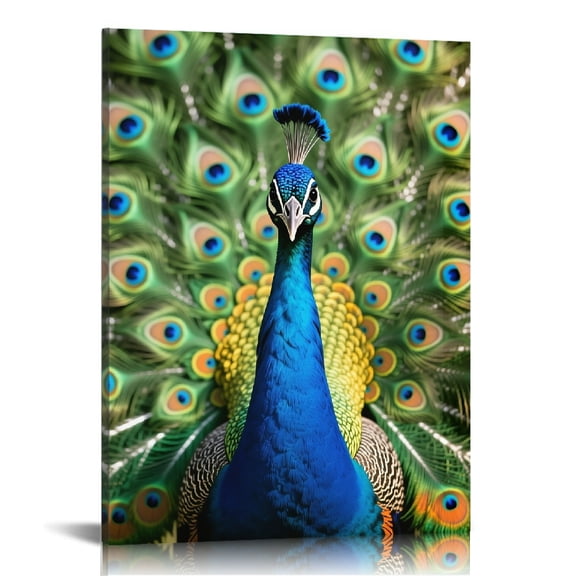 peacock(1) Canvas Prints Wall Art for Living Room Bathroom Bedroom Office, Wall Decor for Bathroom, Wall Decor For Bedroom Fashion Kitchen Wall Pictures Home Decor