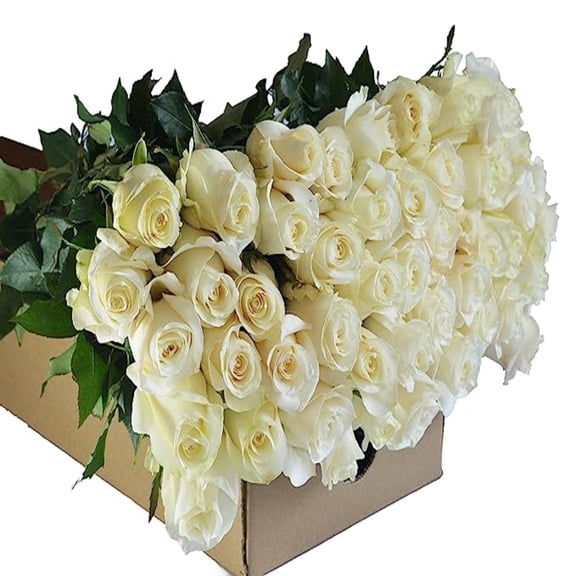 KaBloom :100 White Roses, Next-Day Delivery, Gift for Every Occasion.