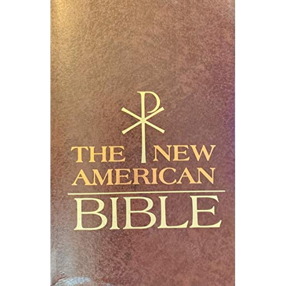 Pre-Owned Saint Joseph Edition of the New American Bible: Translated from the Original Languages With Critical Use of All the Ancient Sources (Paperback) 0026472449 9780026472449
