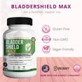 thumbnail image 3 of GreenVify BladderShield Max Urinary & Bladder Support Supplement Capsules, 3 of 5
