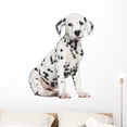 thumbnail image 1 of Side Dalmatian Puppy Sitting Wall Mural Decal by Wallmonkeys Vinyl Peel and Stick Graphic (36 in W x 35 in, 1 of 4