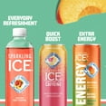 thumbnail image 6 of Sparkling Ice® Naturally Flavored Sparkling Water, Peach Nectarine 17 fl oz, 6 of 6