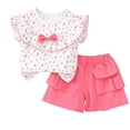 thumbnail image 3 of Rvasteizo Toddler Girl Outfits Floral Top Elastic Waist Shorts 0-4Years, 3 of 5