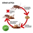 thumbnail image 1 of Veneno Mata Cucaracha Cannibal No Toxico Exterminador Caja, 1 of 9