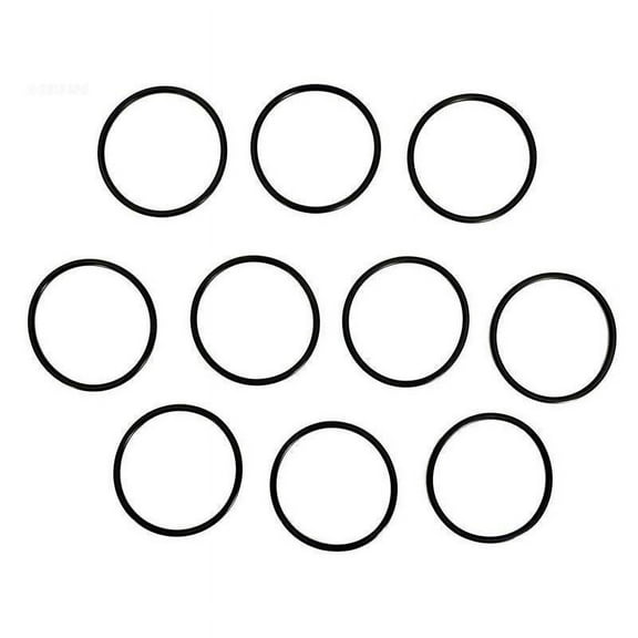 Pentair 521147 Intellichlor Gasket for Pool Pumps, Set of 2