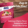 Zand Immunity Cherry Echinacea Zinc HerbaLozenge Throat Drops No Corn Syrup or Cane Sugar (80