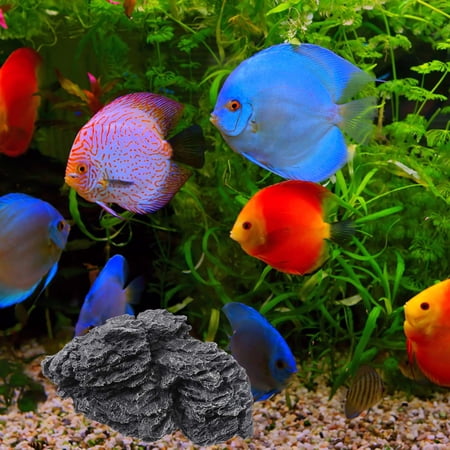 Alasum Resin Stone Aquarium Decoration Offering Realistic Nature Look for Fish Tank