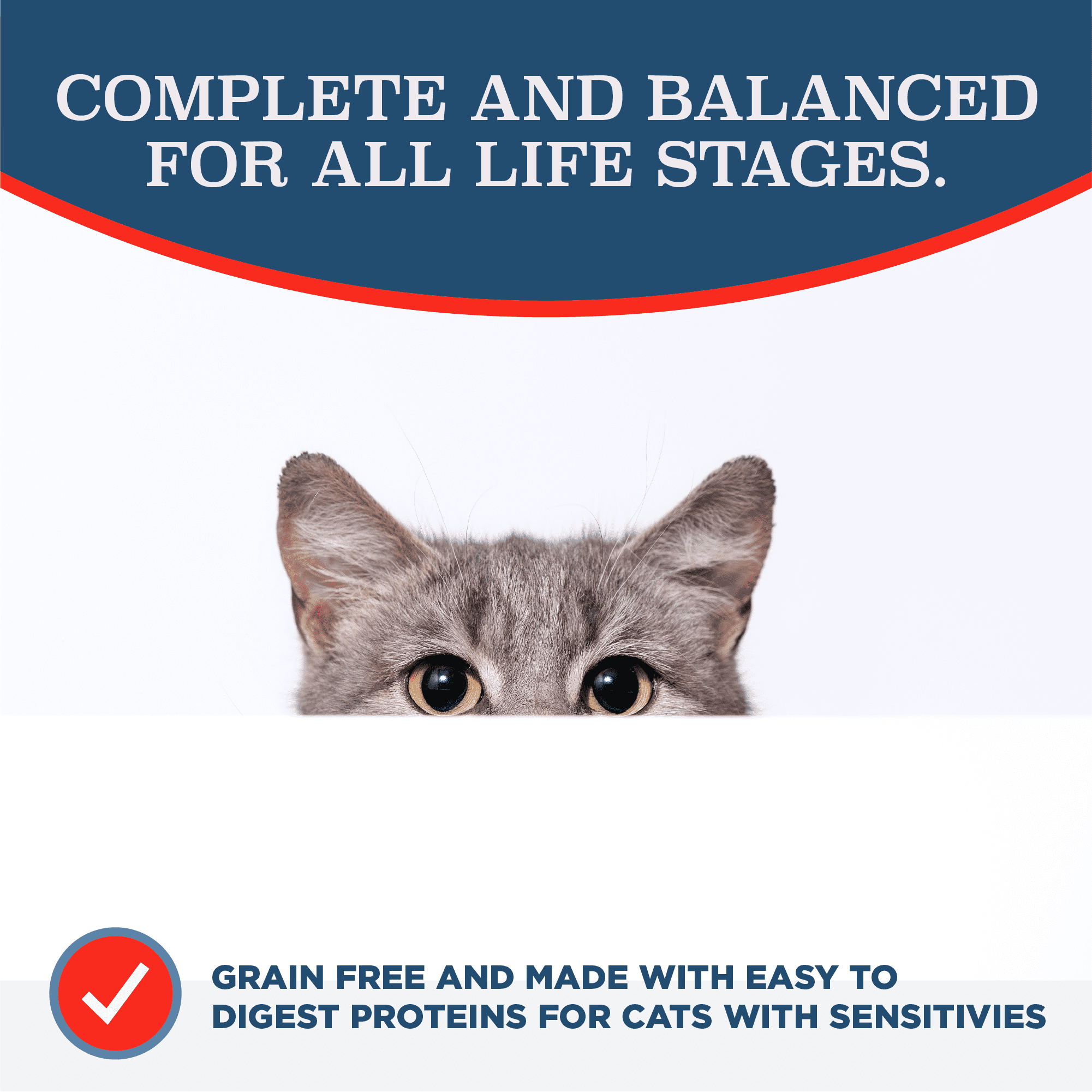 Blackwood Grain Free Cat Food Chicken Meal & Field Pea 13.2 lb.
