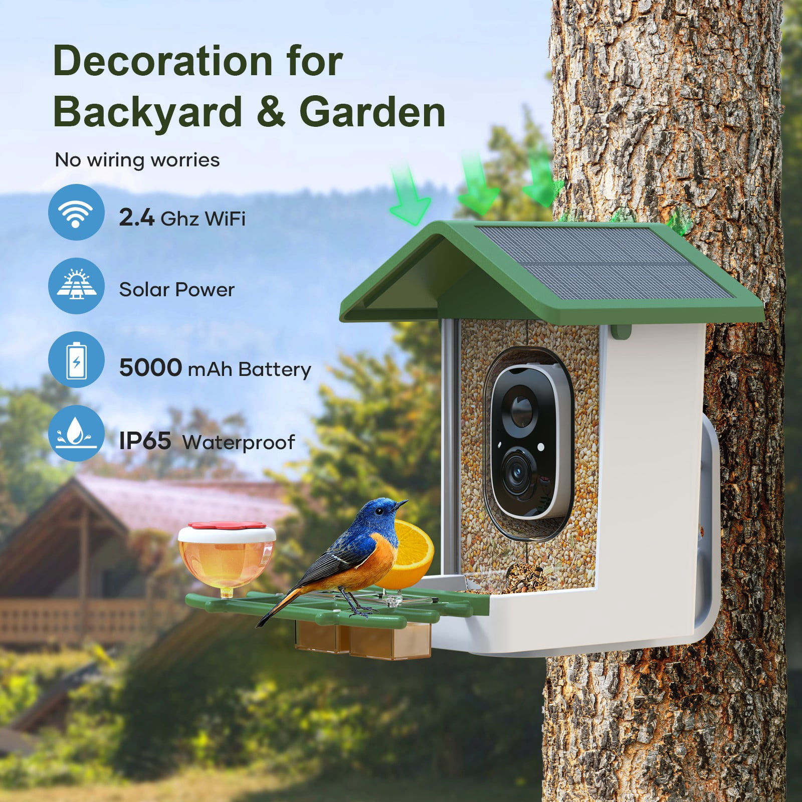 Smart Bird Feeder with Camera, Solar Powered Birdhouse Camera with AI Bird Recognition, Outdoor Wireless WiFi Bird Feeder with Live Video, Fun Gift for Mom, Grandma, Daughter