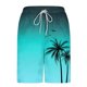 thumbnail image 5 of Ceisia Men's Palm Tree Print Loose Fit Quick Dry Beach Shorts with Inner Lining Blue XL Gifts, 5 of 5