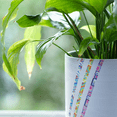 thumbnail image 5 of MT Slim Washi Paper Masking Tape [Produced in Japan]: 0.24 in. x 23 ft. (Deco Tile) 3-pack, 5 of 7