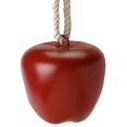 thumbnail image 1 of Horsemens Pride Pomme Joyeuse, 1 of 1