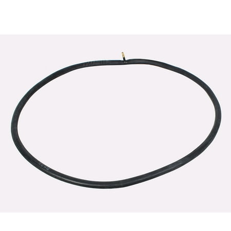 bike tire tube 20 x 1.75