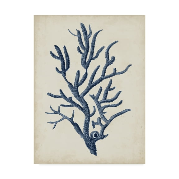 Trademark Fine Art 'Indigo Coral IV' Canvas Art by Vision Studio