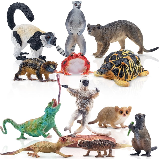 Juego de figuras de animales Toymany Madagascar, 12 piezas, con diseño realista